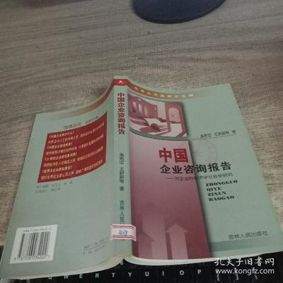 中国企业咨询报告